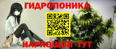 spice Аргун