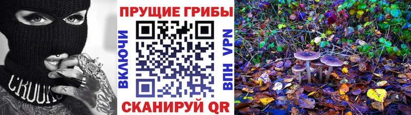 Псилоцибиновые грибы мухоморы  Владимир 