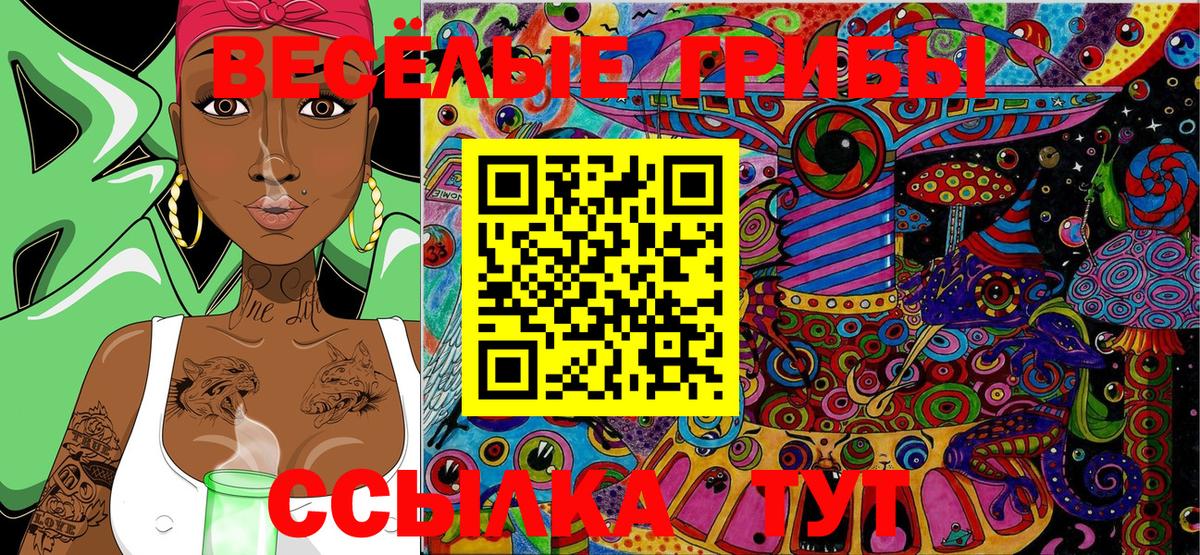 Псилоцибиновые грибы GOLDEN TEACHER  Галлюциногенные грибы Cubensis  Владимир 