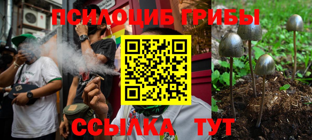 Псилоцибиновые грибы MAGIC MUSHROOMS Владимир